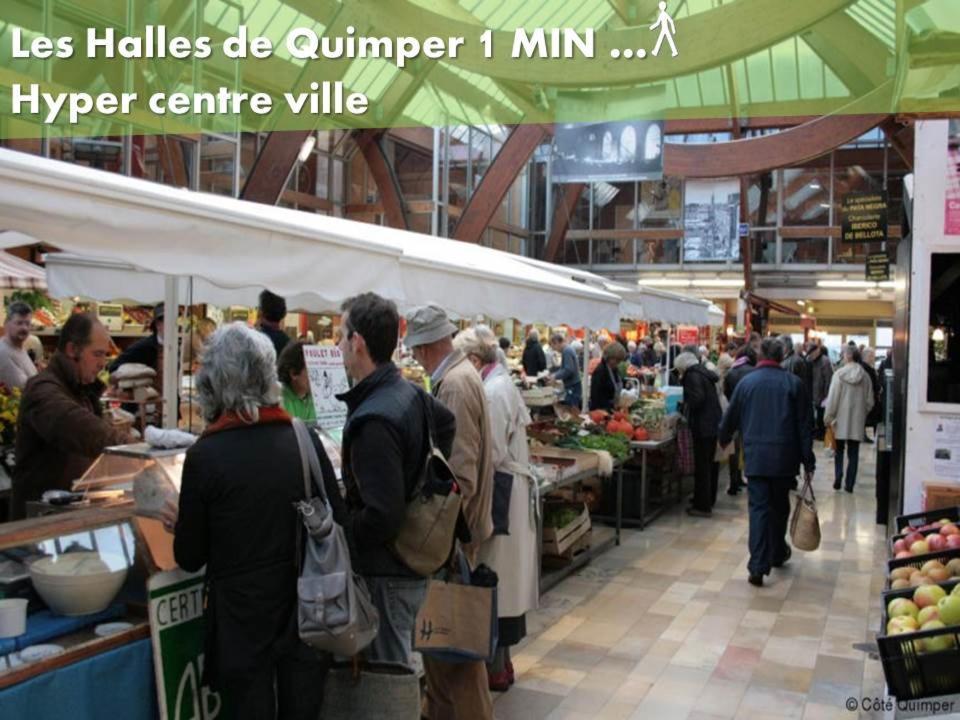 Les Nids De Saint Marc - Centre-Ville Quimper Kültér fotó
